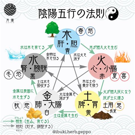 陰陽 分類|陰陽説